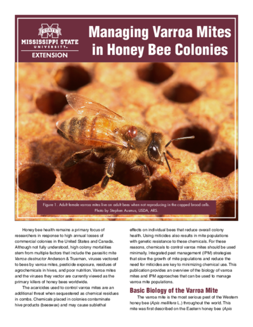 Preview of P2826_web