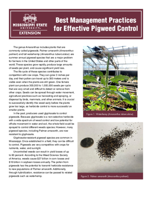 Preview of P3936_web