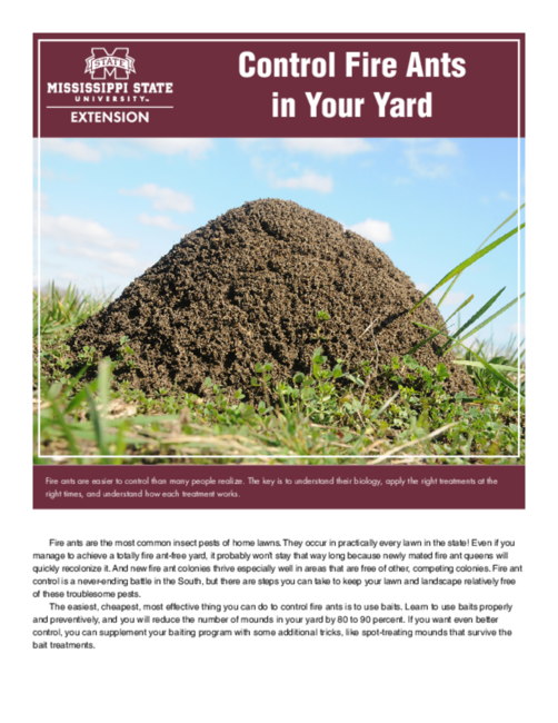 Preview of P2429_web