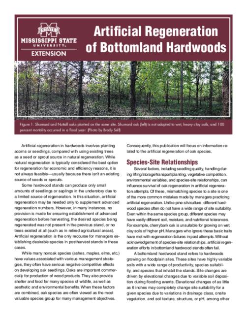Preview of P3486_web