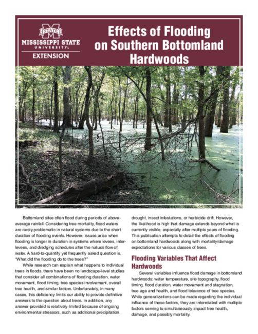 Preview of P3452_web