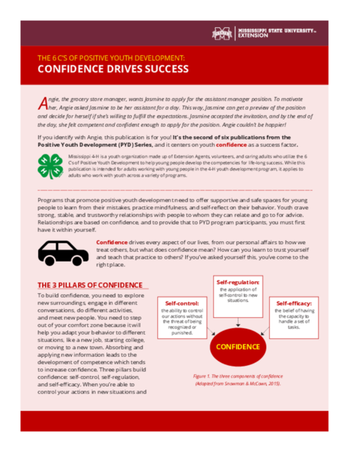 Preview of P3933_CSeries_Confidence_web