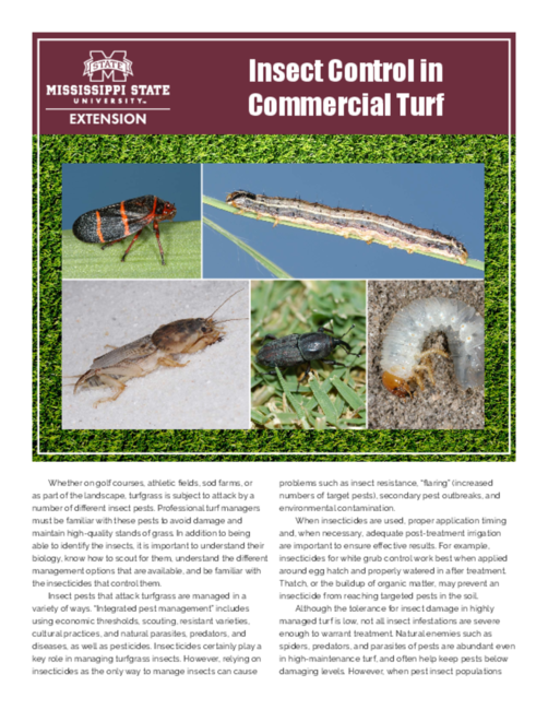 Preview of P1858_web