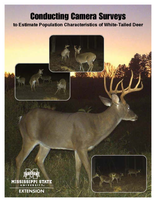 Preview of P2788_web