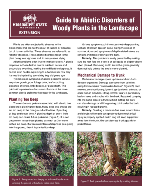 Preview of P3174_web
