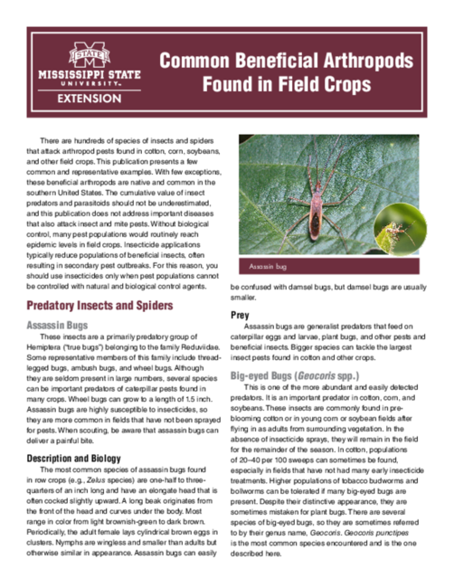 Preview of P3948_web