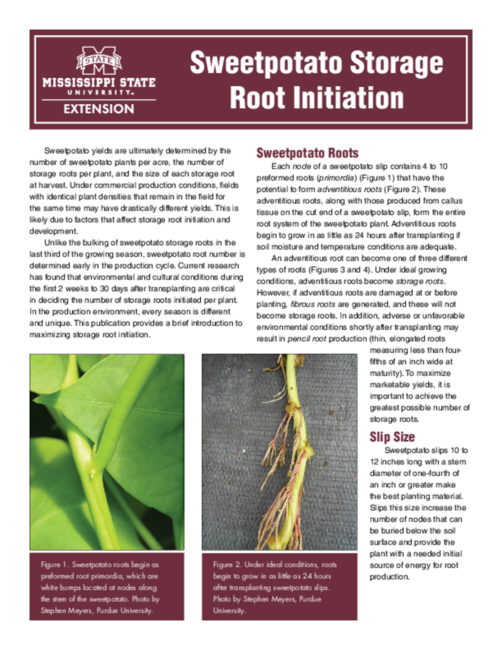 Preview of P2809_web