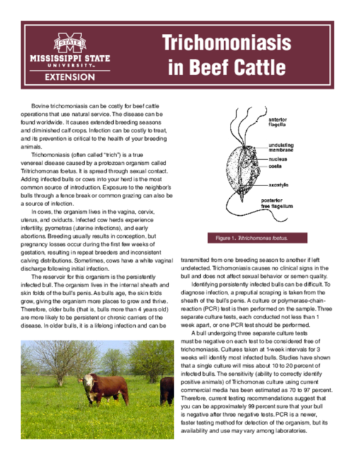 Preview of P2609_web