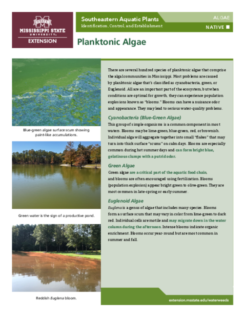 Preview of P3735-3_planktonicalgae