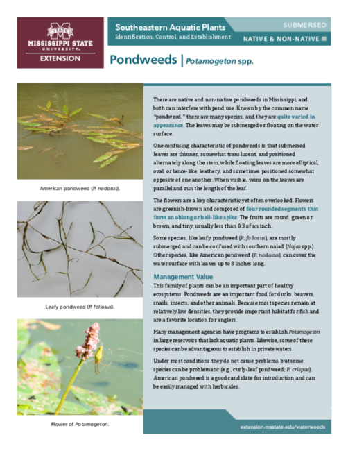 Preview of P3735-10_Pondweeds