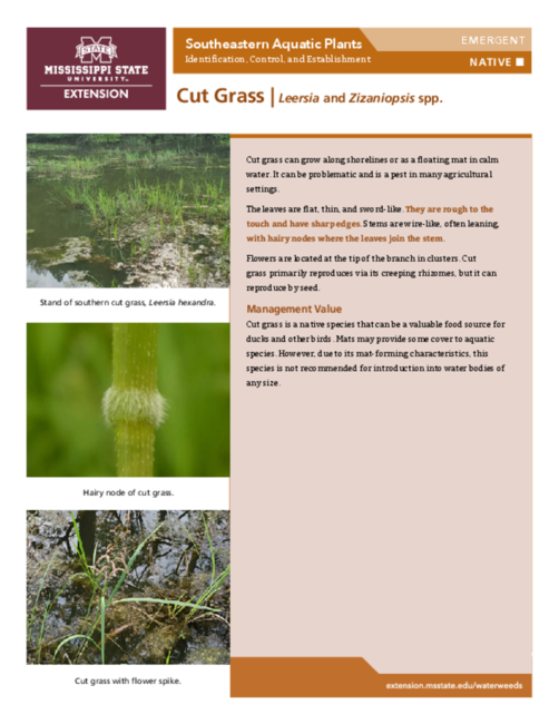Preview of P3735-23_CutGrass