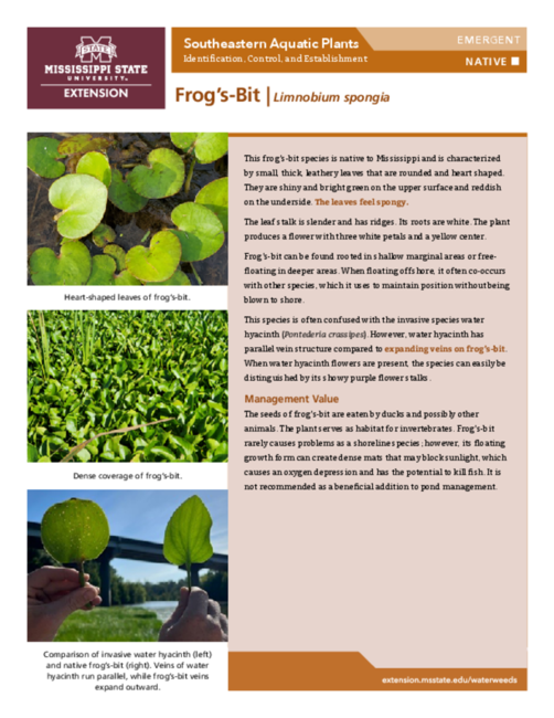 Preview of P3735-24_frogs-bit