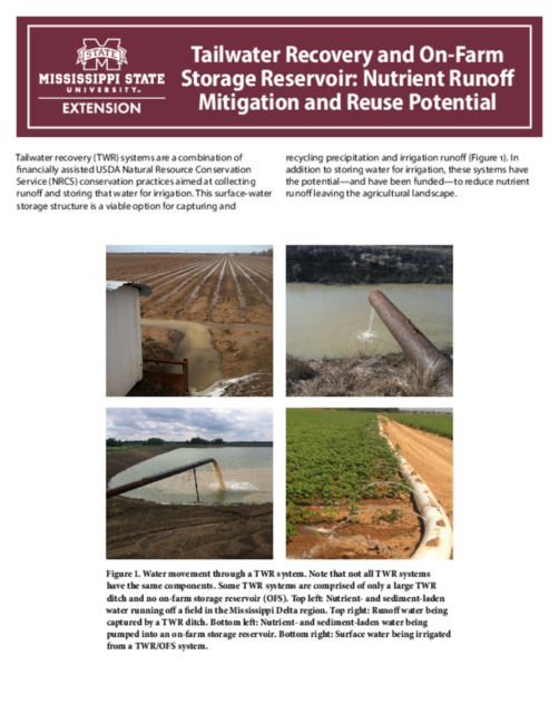 Preview of P3263_web