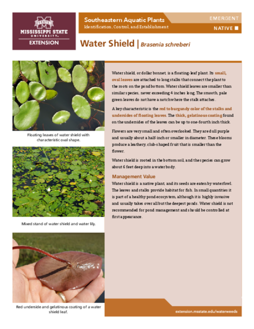 Preview of P3735-38_watershield