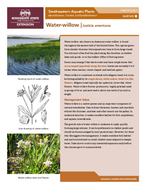 Preview of P3735-41_Waterwillow