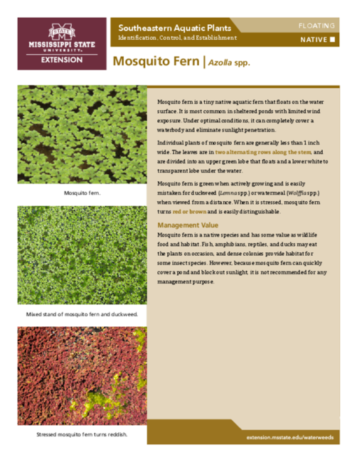Preview of P3735-43_Mosquitofern