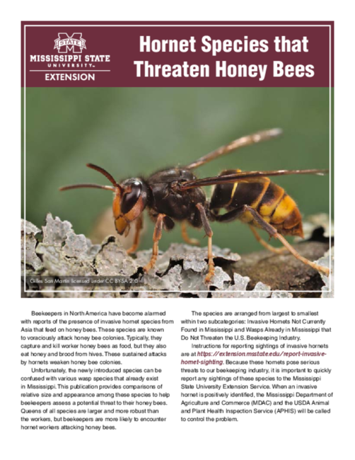Preview of P3950_POD_Hornets_webREV