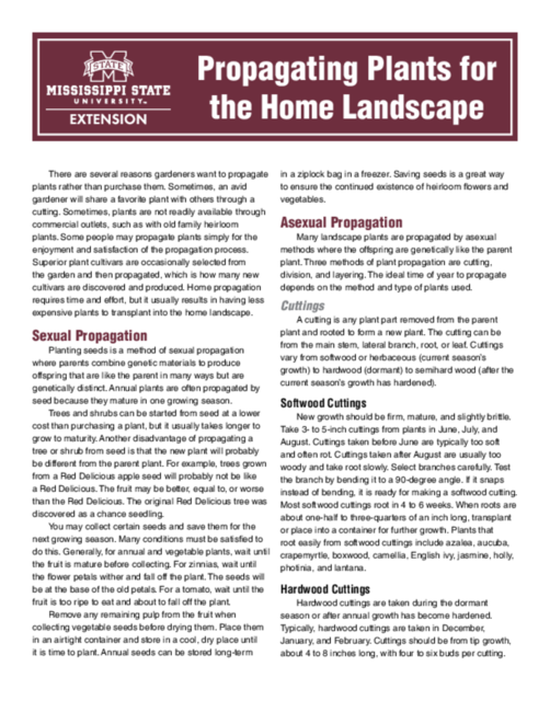 Preview of P3952_web