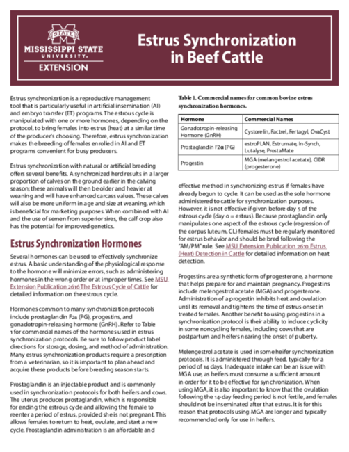 Preview of P2614_web