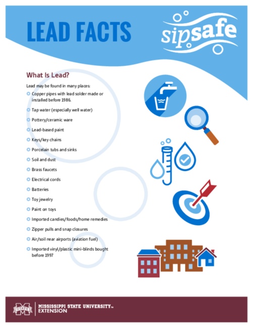 Preview of p3570_sipsafe_leadfacts_web