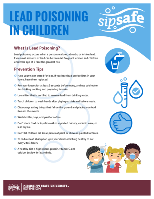 Preview of p3572_sipsafe_lead_poisoning_web
