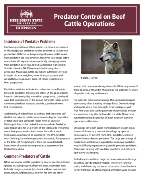 Preview of P2661_web
