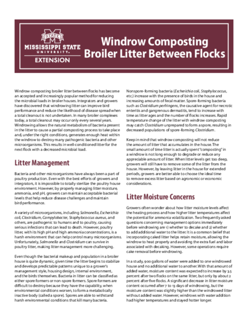 Preview of P2818_web