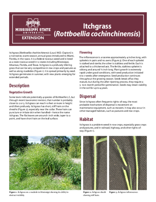 Preview of P3186_web2
