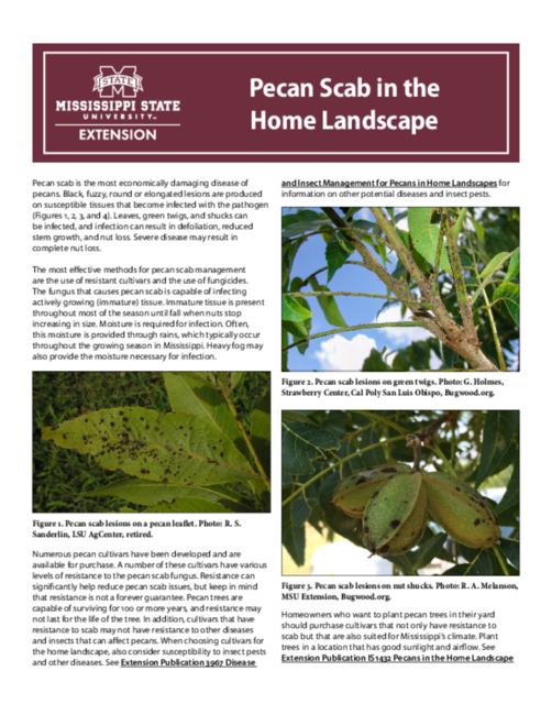 Preview of P3966_web