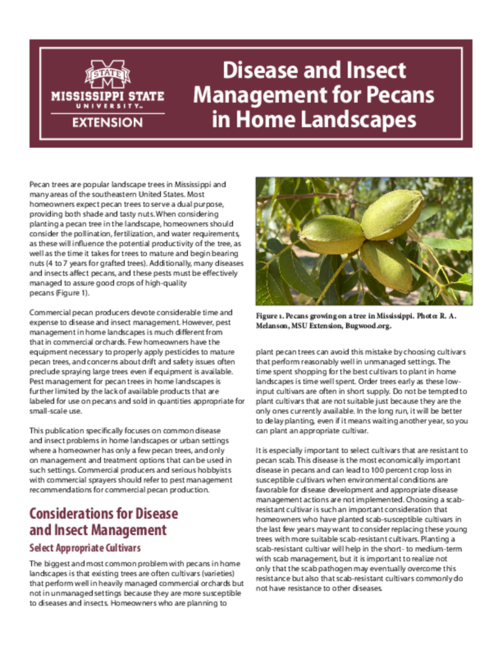 Preview of P3967_web
