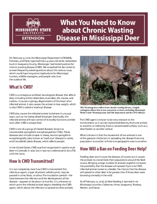 Preview of P3199_web