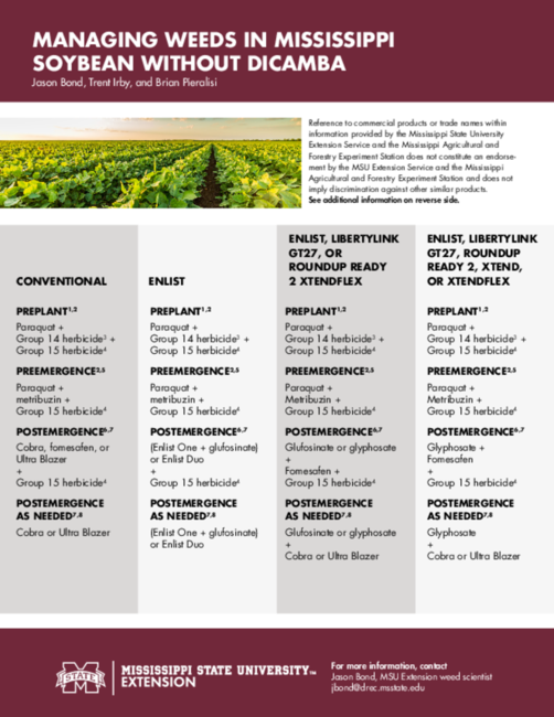 Preview of P3984_web