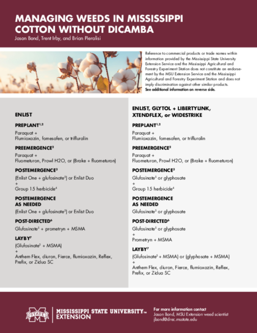 Preview of P3985_web