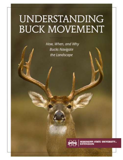 Preview of P3927_Buck Movement_web_rev