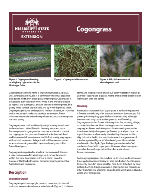 Preview of P3190_Final