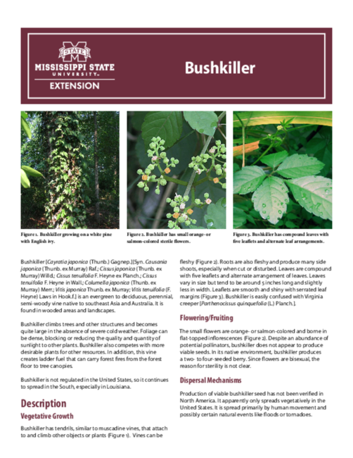 Preview of P3191_web
