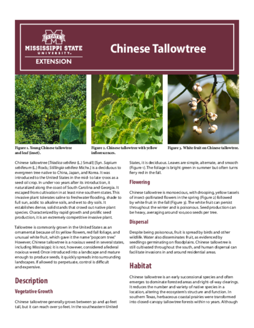 Preview of P3189_web