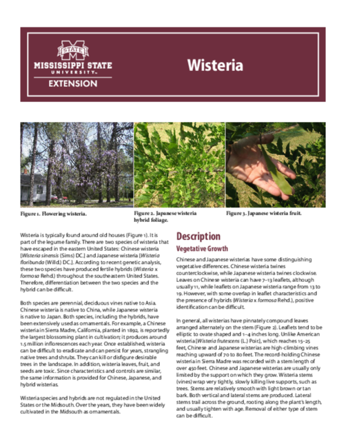 Preview of P3201_web