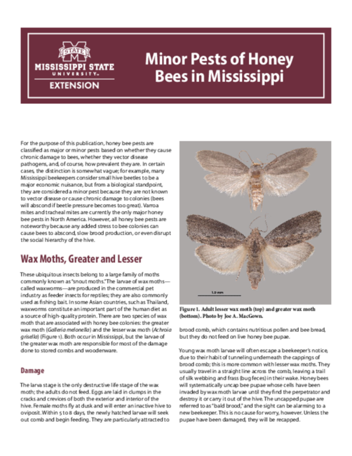 Preview of P3195_web
