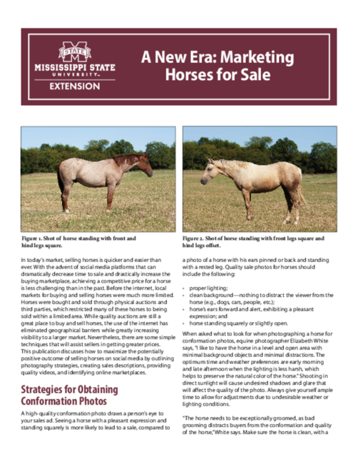 Preview of P3585_web