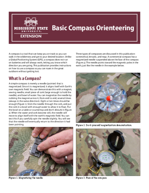 Preview of P3322_web