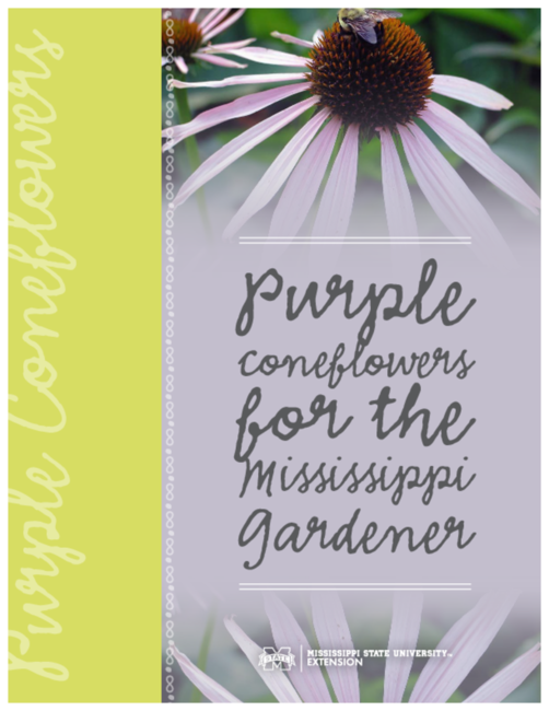 Preview of p2690_web