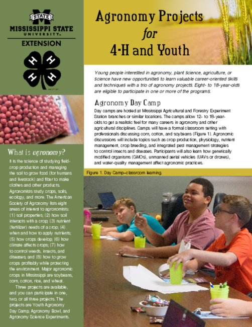 Preview of P3595_web