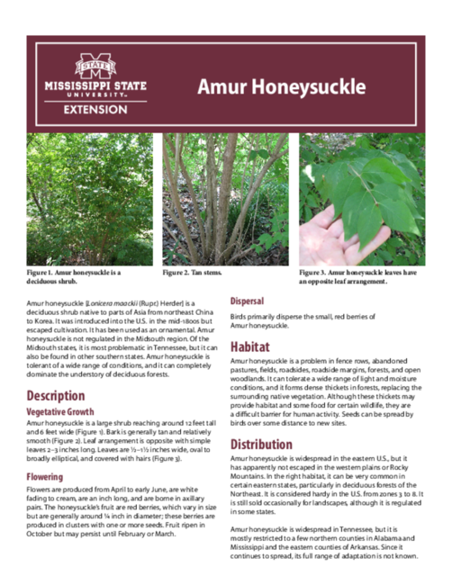 Preview of P3192_web
