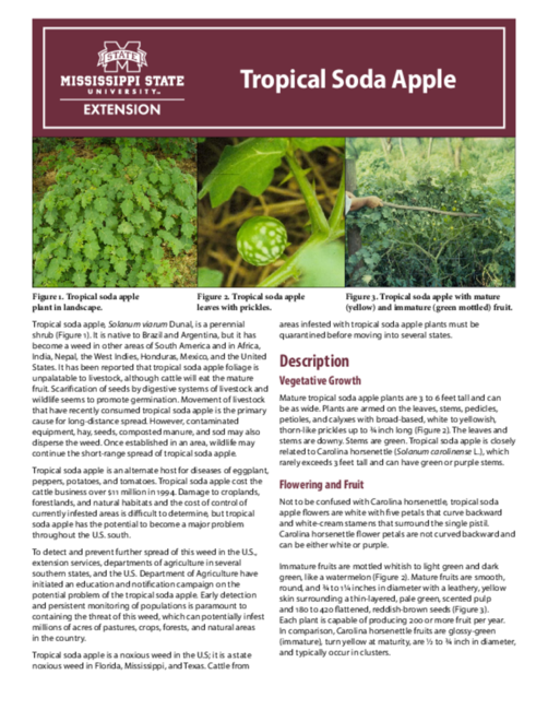 Preview of P3200_web