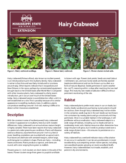 Preview of P3204_web