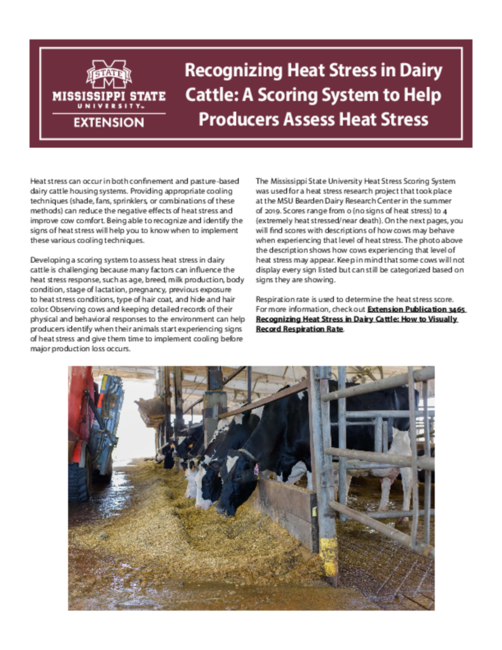 Preview of P3464_web