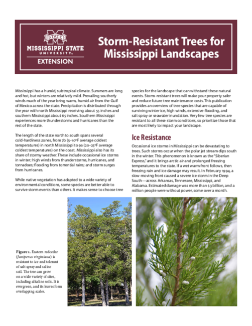Preview of P3111_web
