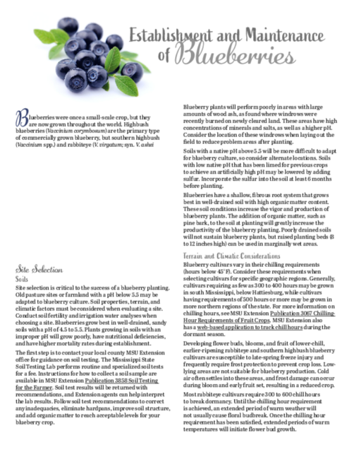 Preview of P1758_web
