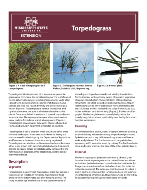 Preview of P3193_web2